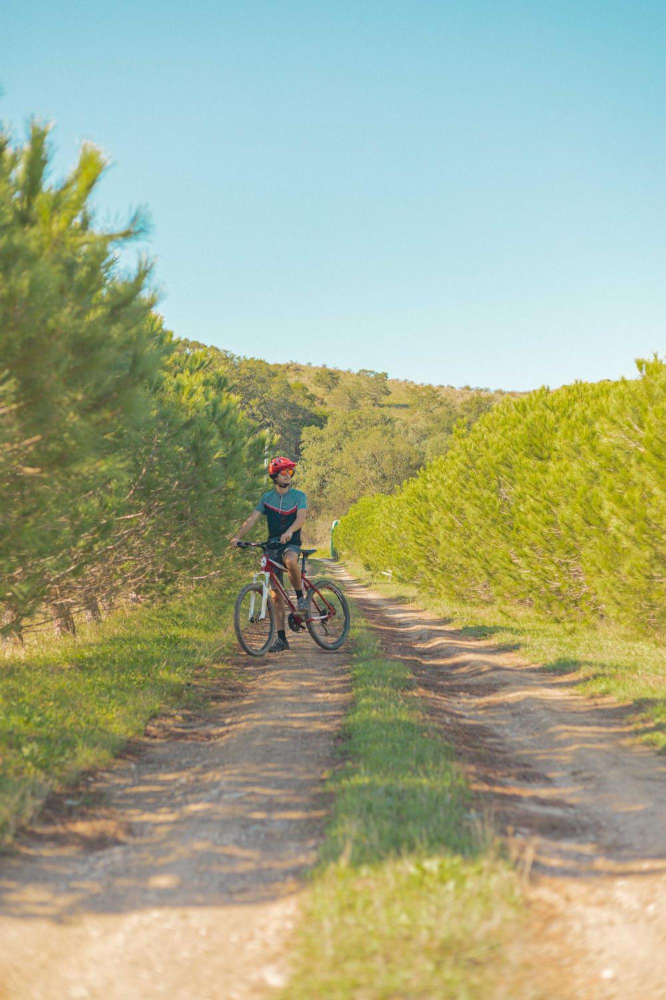 Aldeia Da Pedralva - Slow Village Vila do Bispo Ngoại thất bức ảnh